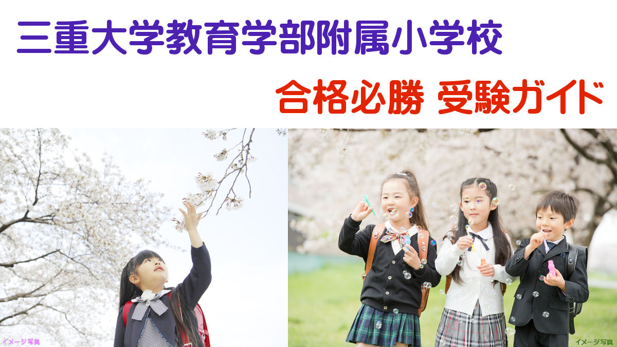 琉球 大学 教育 学部 附属 小学校